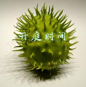 开庭时间