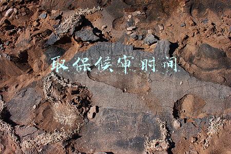 取保候审时间