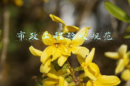 市政工程验收规范