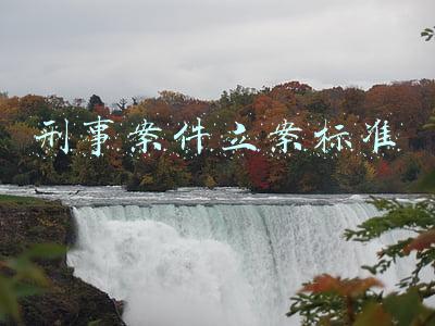 刑事立案标准(刑事立案量刑最新标准（2022更新）)