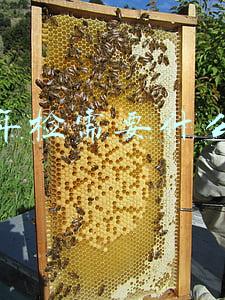 工商年检需要什么资料