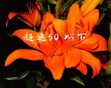 超速50 以下