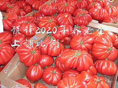 预计2020年养老金上调比例