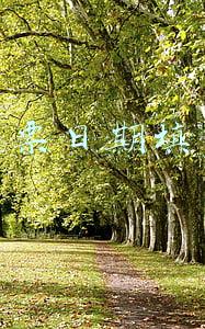 支票日期填写规范30日(支票日期如何填写)