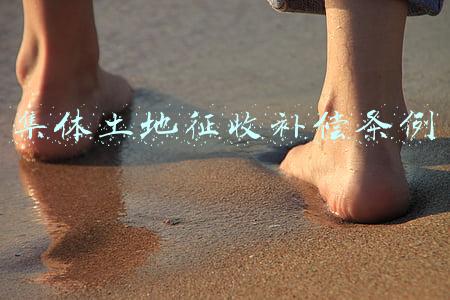 集体土地房屋征收补偿条例(确定了！集体土地上房屋的征收补偿应当这样算)