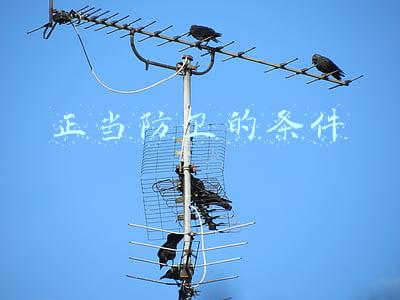 论述正当防卫的条件(做到正当防卫需符合五个条件)