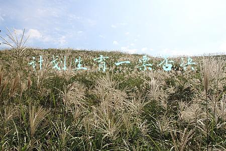 计划生育一票否决