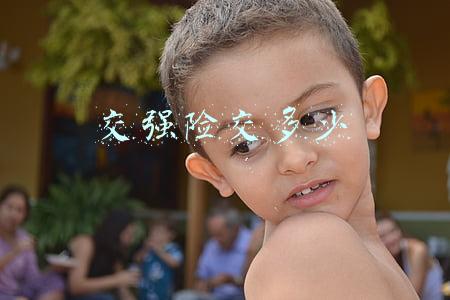 交强险交多少