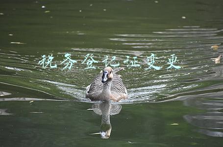 税务登记证变更时间(财务人员别大意！税务登记信息变更请及时办理)