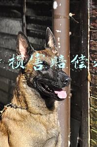 人身损害赔偿规定(最高法发布：人身损害赔偿司法解释(全文+修正背景+答记者问)｜5.1施行)