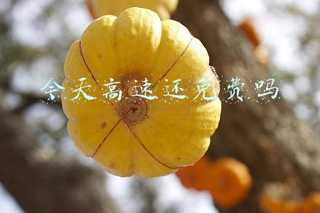 今天高速还免费吗5月5日(交通运输部：“五一”假期全国高速免费通行)