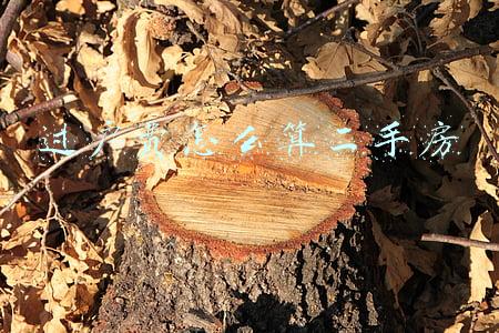 过户费怎么算二手房
