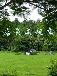 服装店员工规章制度