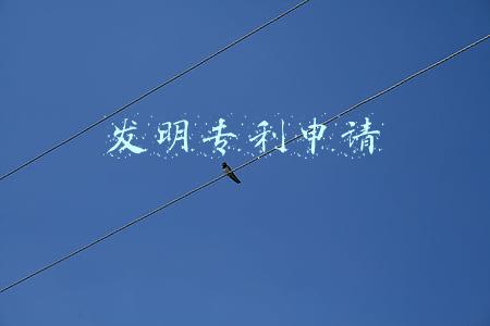 发明专利申请