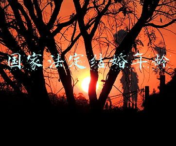 国家法定结婚年龄是多大(法定结婚年龄多少？)