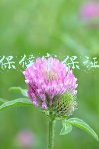 取保候审保证金