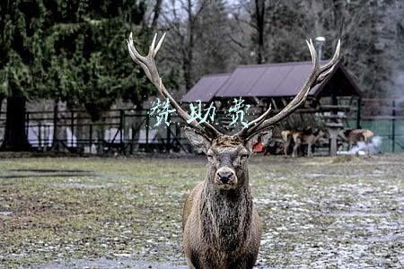 赞助费支出可以税前扣除吗(用“四步法”教你判断赞助支出能否税前扣除)