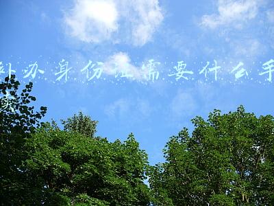 郑州补办身份证需要什么手续(好消息！异地身份证在郑州就能换领、补领)