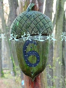 邮政快递收费