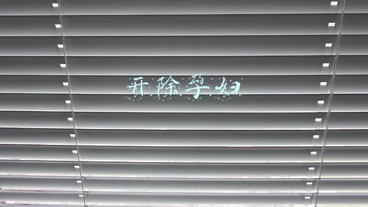 开除孕妇