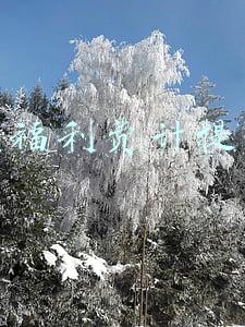 职工福利费计提比例