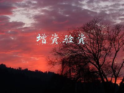 增资验资