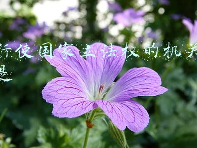 行使国家立法权的机关是
