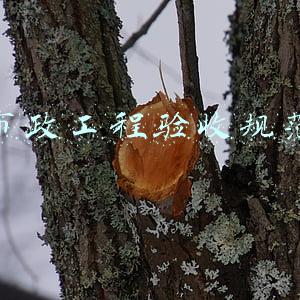 市政工程验收规范