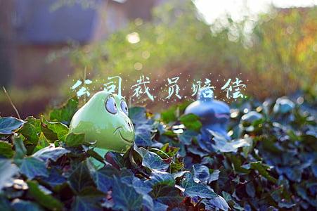公司裁员赔偿