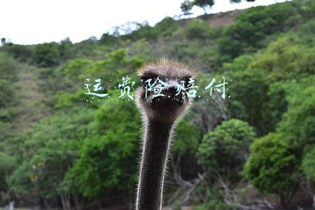 运费险赔付