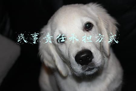 民事责任承担方式