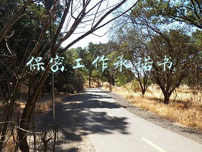 保密工作承诺书
