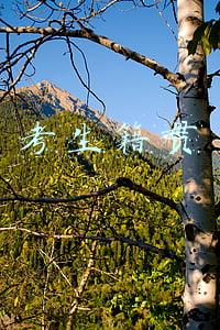 考生籍贯和户口所在地一样吗(考生户籍、生源地和籍贯是什么？别再傻傻分不清)