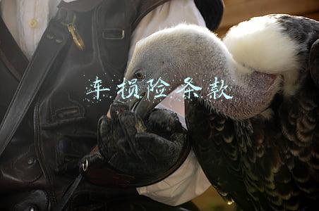 车损险条款