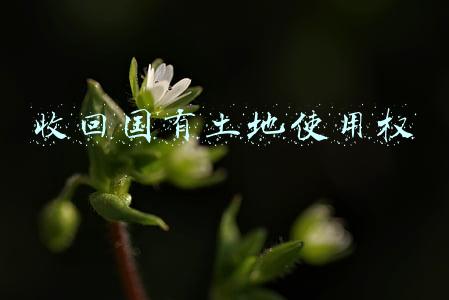 收回国有土地使用权属于什么行政行为(最高法案例：原所有权人对房屋被征收后政府收回国有土地使用权的行为不具有利害关系)