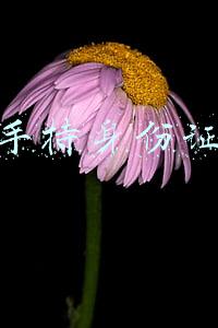 身份证和本人手持身份证照片(如何预防“小网民”沉迷网络)