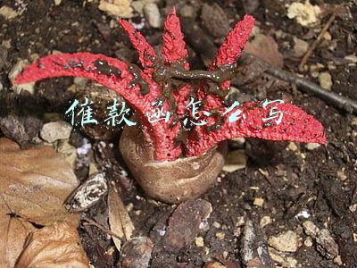 私人催款函怎么写(不能等了！怎么写个人催款函讨债？)