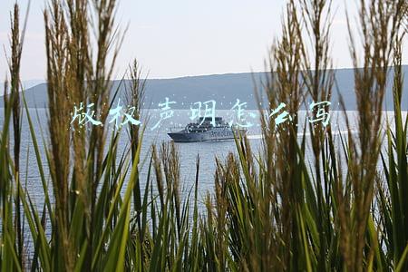 版权声明怎么写