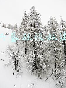 公共基础设施建设