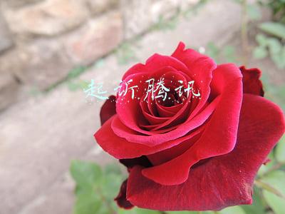个人如何起诉腾讯(抖音和腾讯，都说要起诉对方)