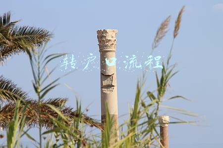 转户口流程