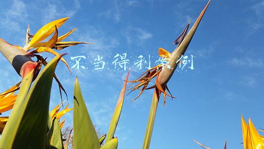 不当得利案例