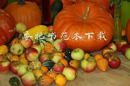 委托书范本下载