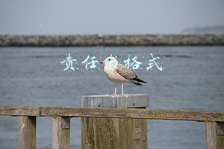 责任书格式
