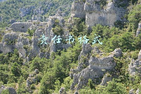 责任书格式