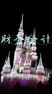 年度财务会计报告