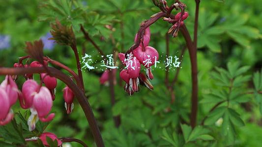 交通费补贴