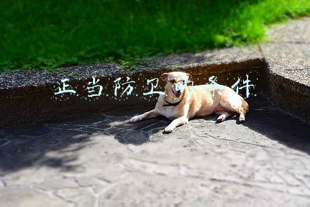 结合实例,简述正当防卫的条件(生活中哪些行为属于正当防卫？这5个判断标准，你必须知道)