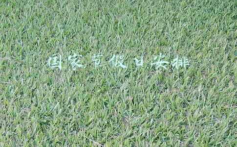 国家节假日安排