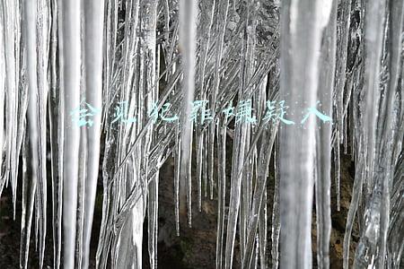 会见犯罪嫌疑人